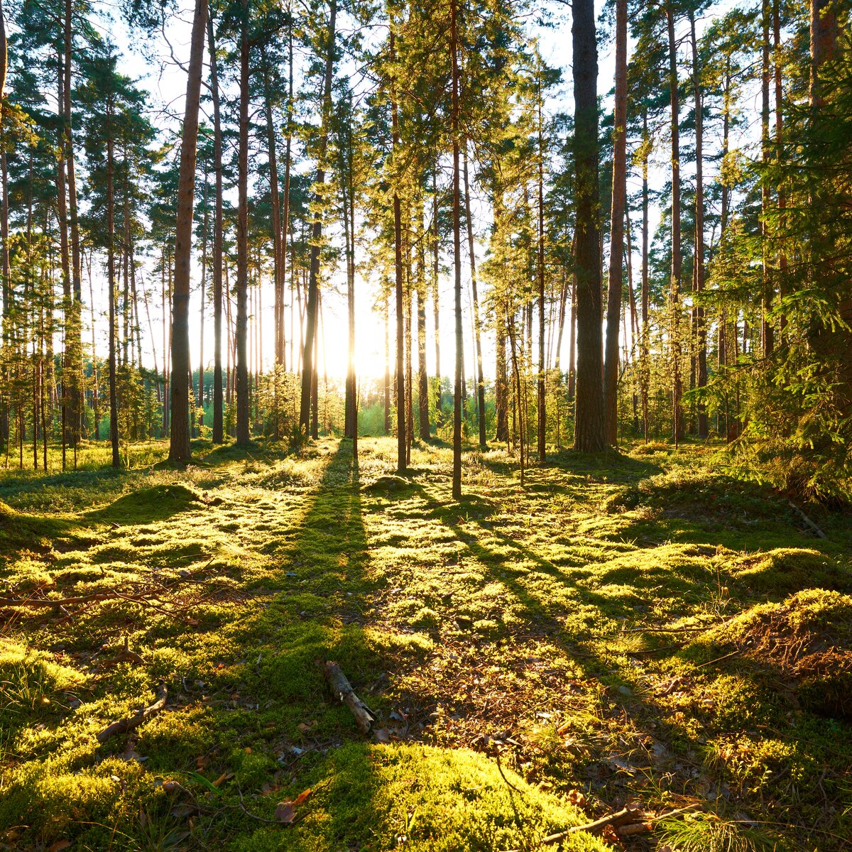 © © stock.adobe.com, haveseen