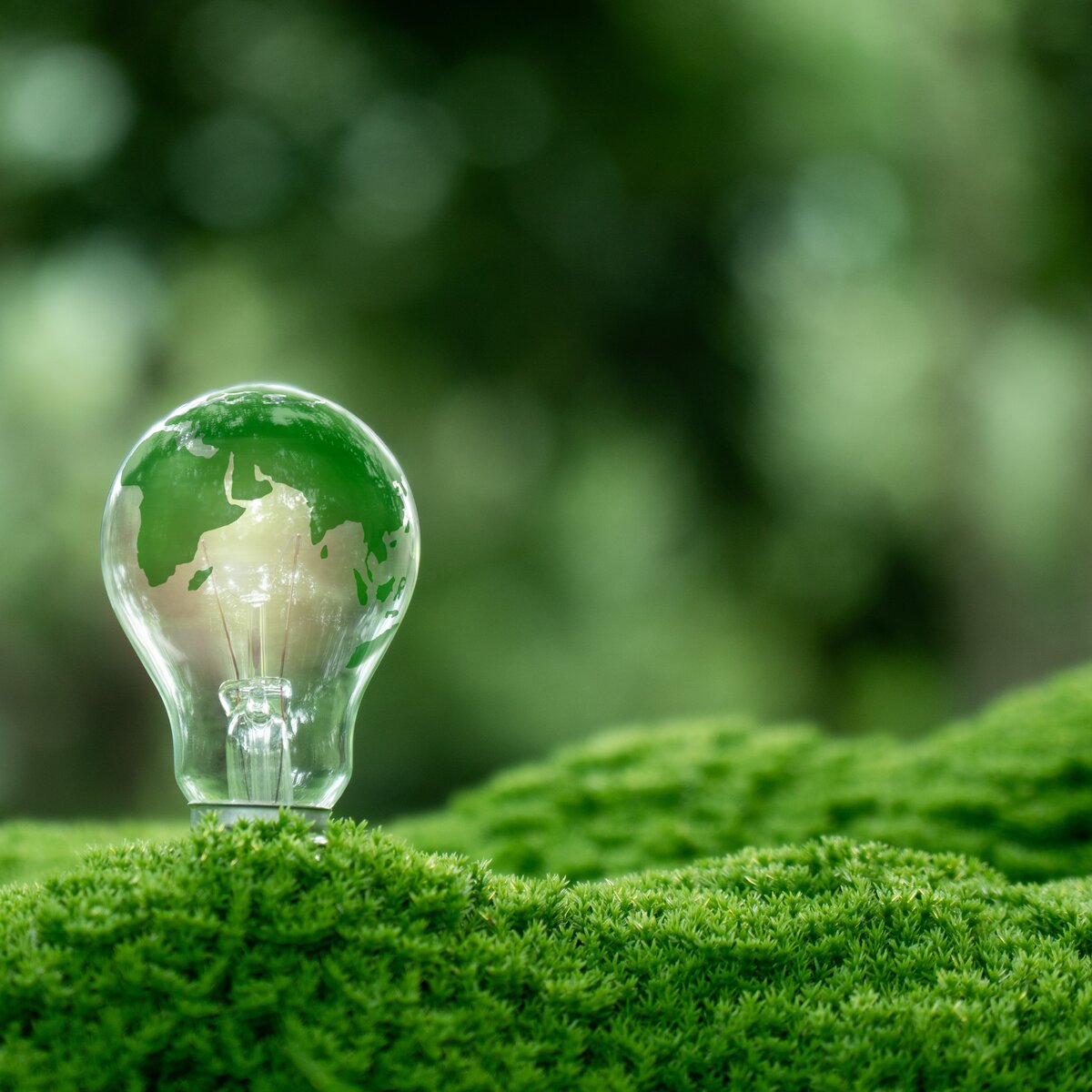 © © Shutterstock, witsarut sakorn